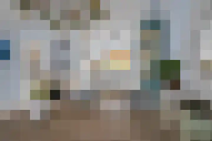 Pronkmos 11 Houten thumbnail 6