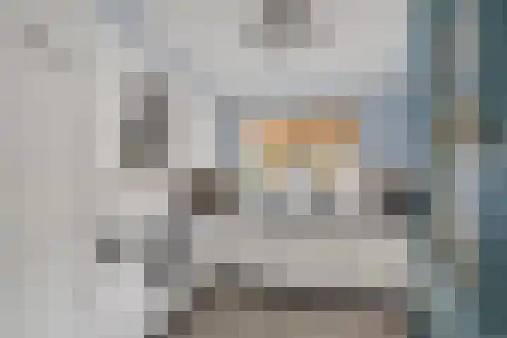 Pronkmos 11 Houten thumbnail 7