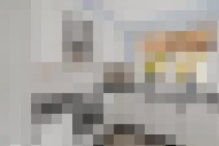 Pronkmos 11 Houten thumbnail 8