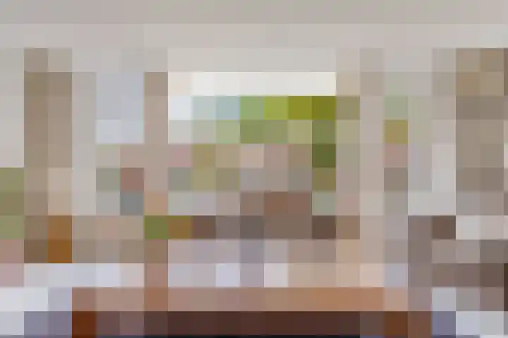 Pronkmos 115 Houten thumbnail 12