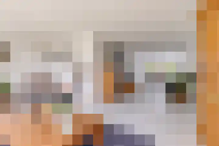 Pronkmos 115 Houten thumbnail 15