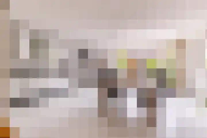 Pronkmos 115 Houten thumbnail 16