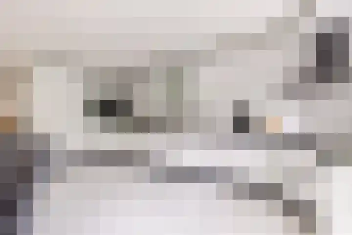 Pronkmos 115 Houten thumbnail 18