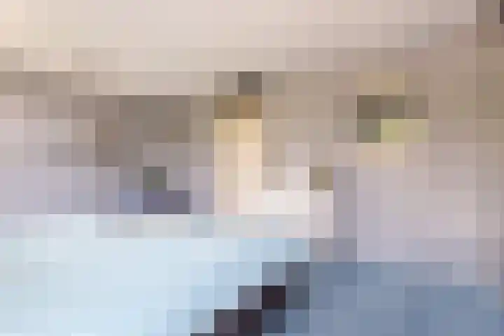 Pronkmos 115 Houten thumbnail 29