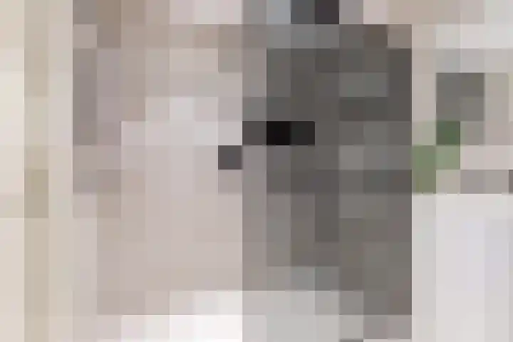 Pronkmos 115 Houten thumbnail 33