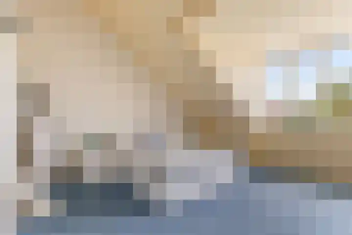 Pronkmos 115 Houten thumbnail 37