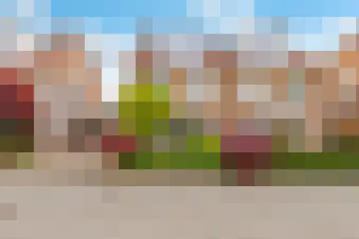 Pronkmos 115 Houten thumbnail 4