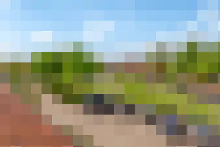 Pronkmos 115 Houten thumbnail 45