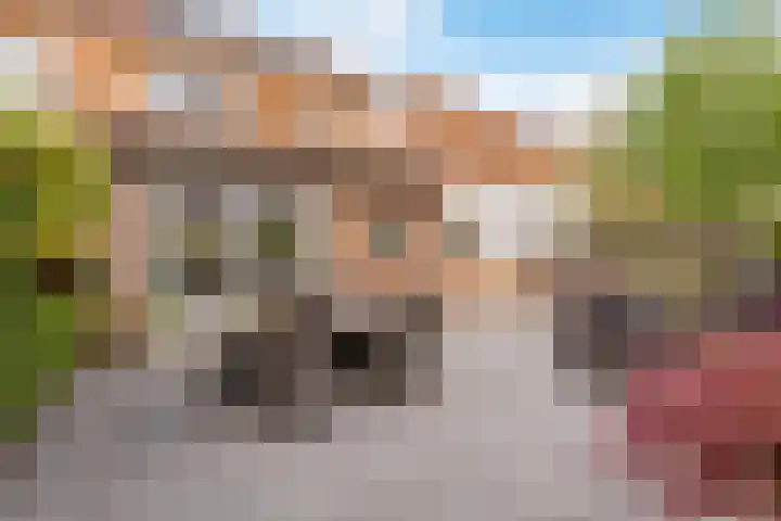 Pronkmos 115 Houten thumbnail 47