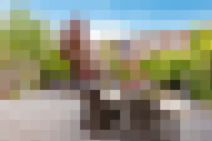 Pronkmos 115 Houten thumbnail 48