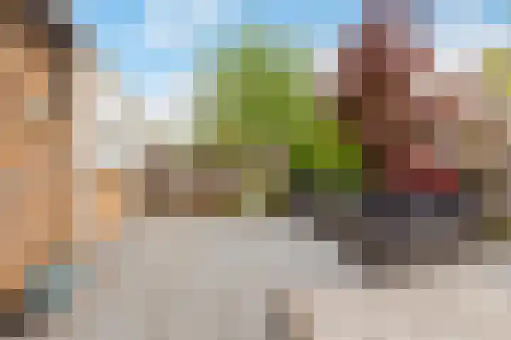 Pronkmos 115 Houten thumbnail 49