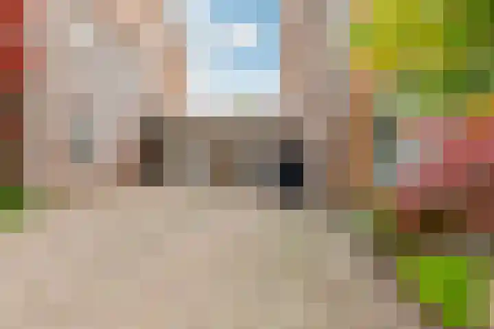 Pronkmos 115 Houten thumbnail 5