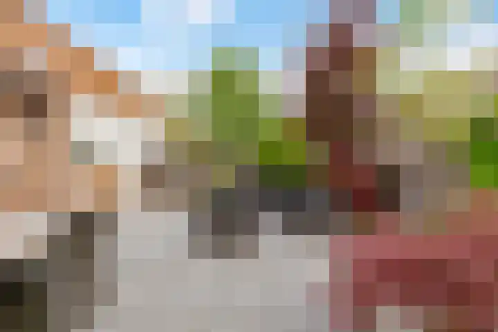 Pronkmos 115 Houten thumbnail 51