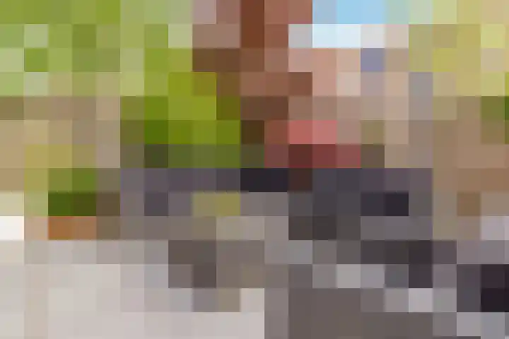 Pronkmos 115 Houten thumbnail 53