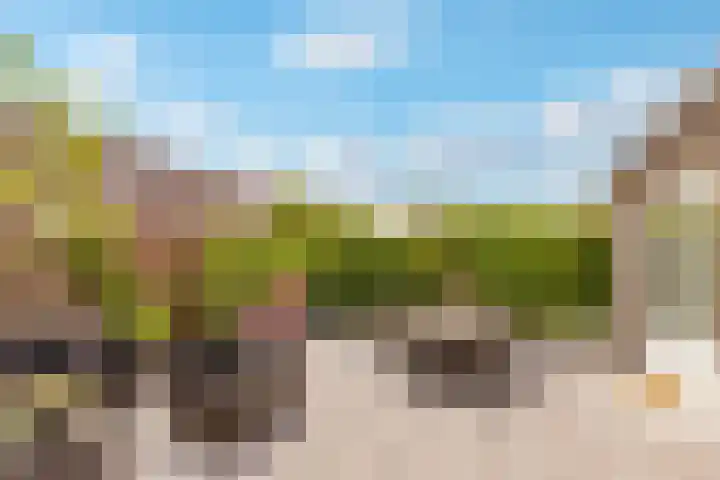 Pronkmos 115 Houten thumbnail 54