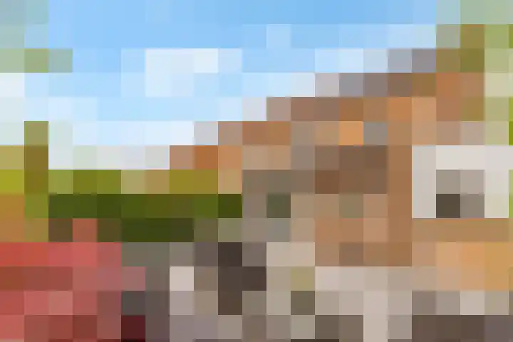 Pronkmos 115 Houten thumbnail 55