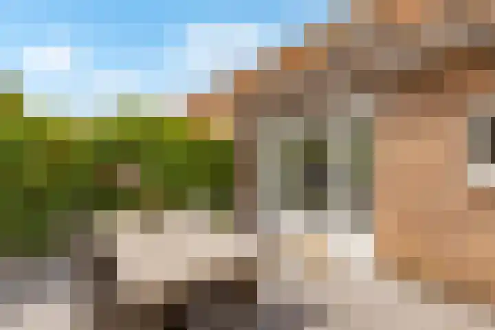 Pronkmos 115 Houten thumbnail 56