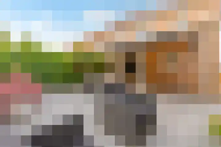 Pronkmos 115 Houten thumbnail 58