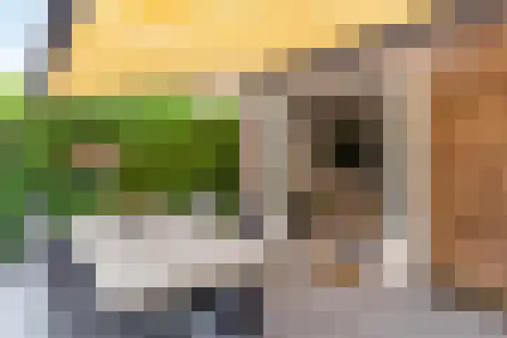Pronkmos 115 Houten thumbnail 59