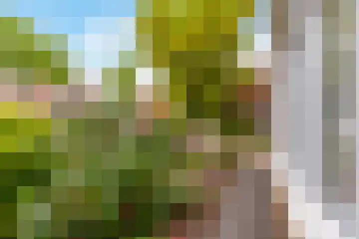 Pronkmos 115 Houten thumbnail 60