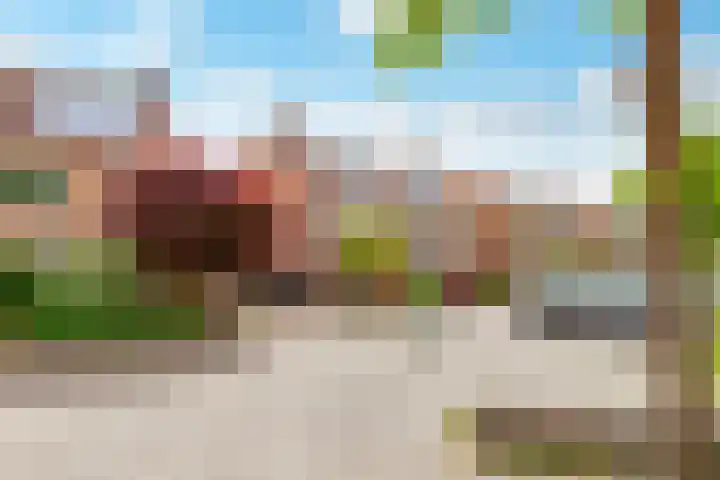 Pronkmos 115 Houten thumbnail 61