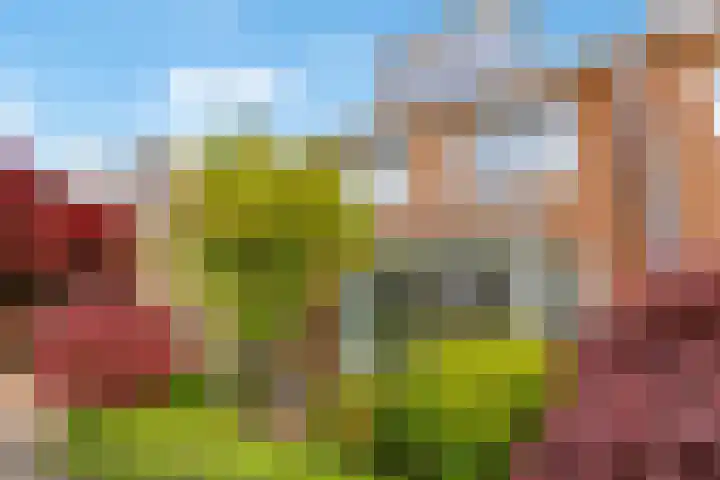Pronkmos 115 Houten thumbnail 62