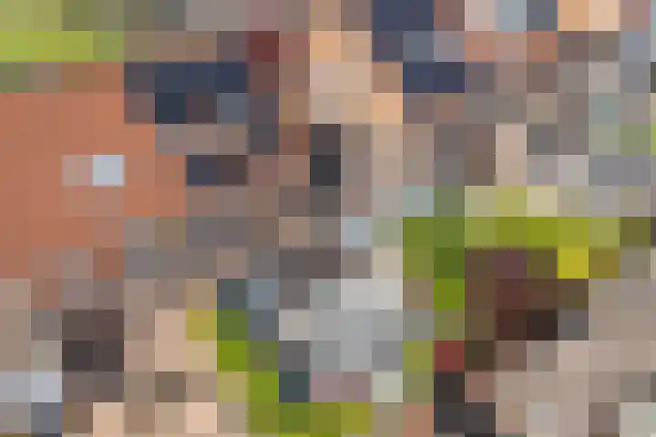 Pronkmos 115 Houten thumbnail 63