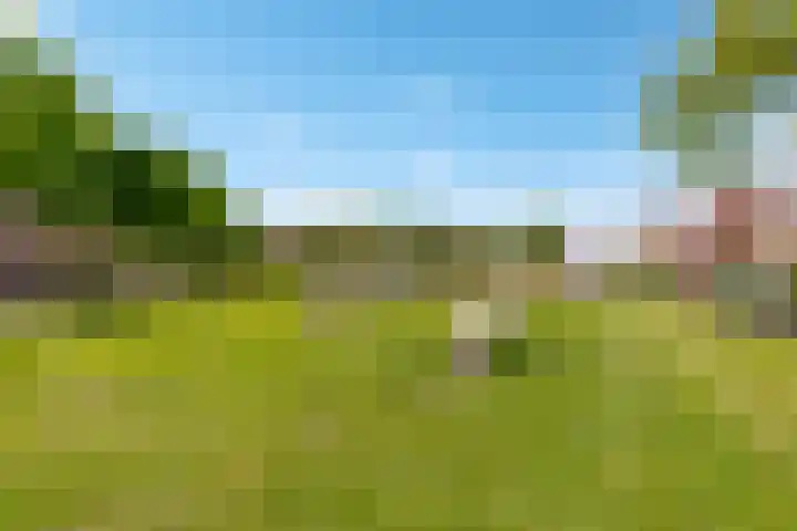 Pronkmos 115 Houten thumbnail 64