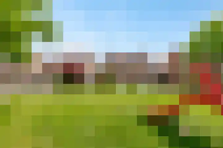 Pronkmos 115 Houten thumbnail 65