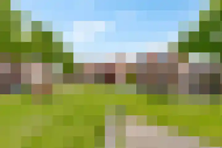 Pronkmos 115 Houten thumbnail 66