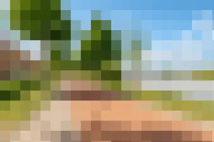Pronkmos 115 Houten thumbnail 67