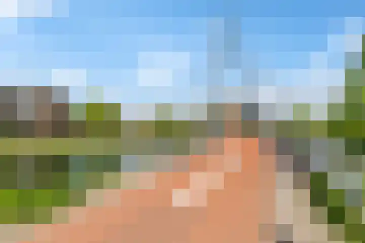 Pronkmos 115 Houten thumbnail 68