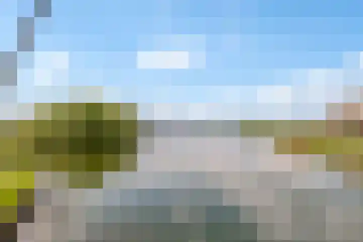 Pronkmos 115 Houten thumbnail 69