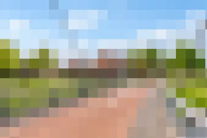Pronkmos 115 Houten thumbnail 70