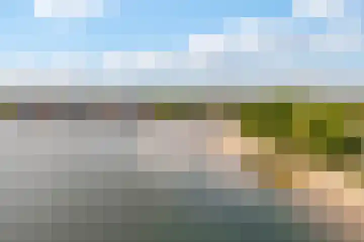 Pronkmos 115 Houten thumbnail 71