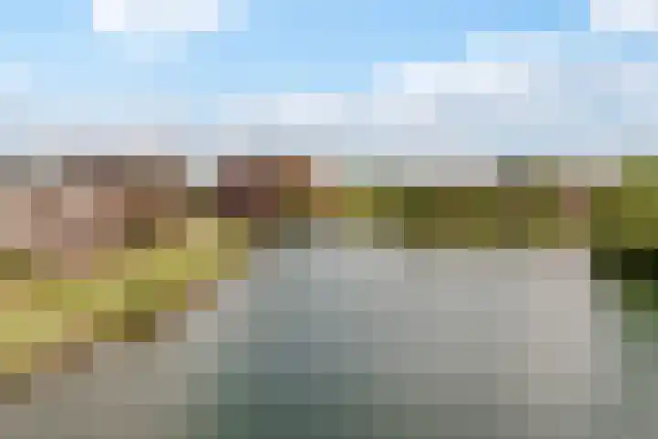 Pronkmos 115 Houten thumbnail 72