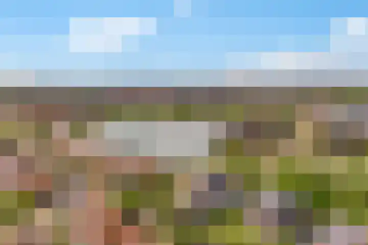 Pronkmos 115 Houten thumbnail 73