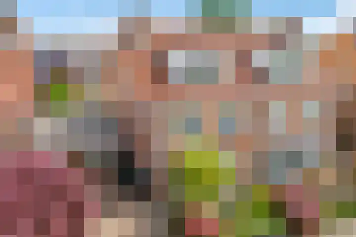Pronkmos 115 Houten thumbnail 79