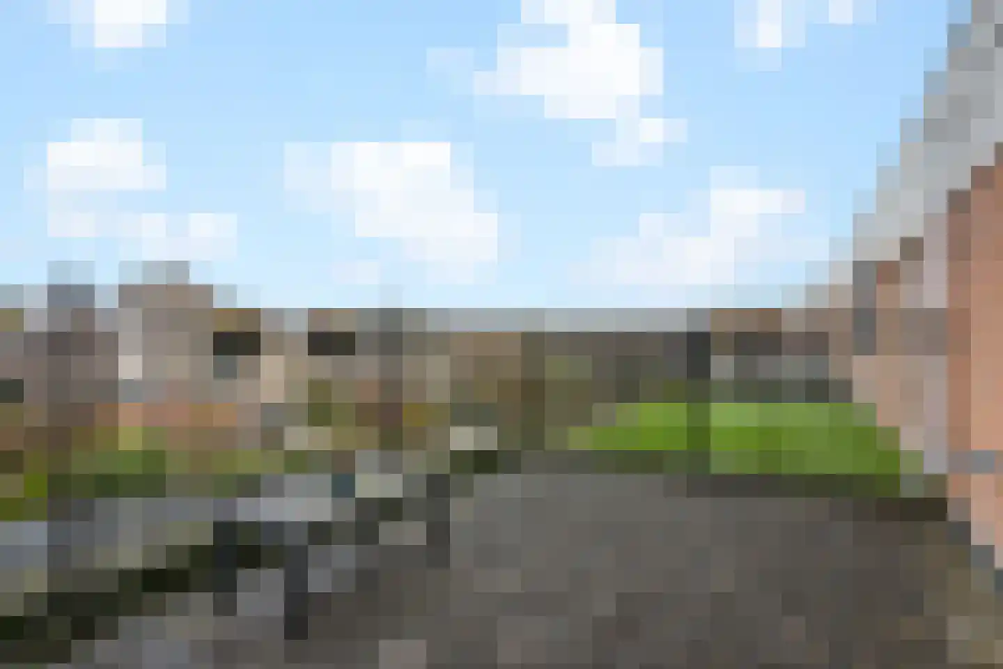 Pronkmos 13 Houten thumbnail 22