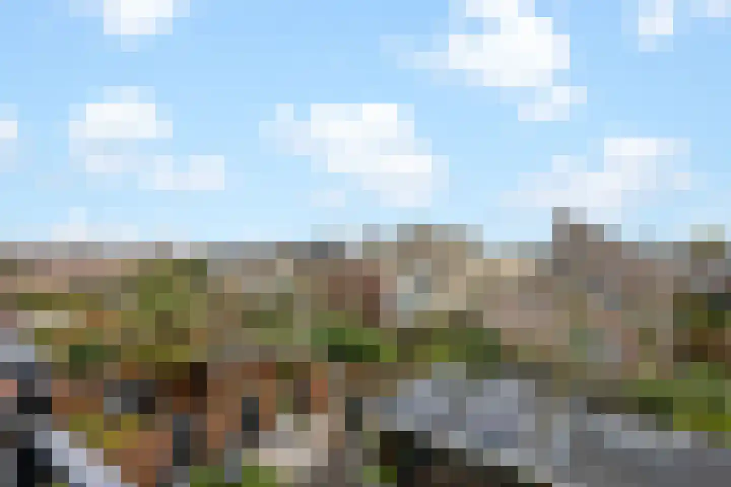 Pronkmos 13 Houten thumbnail 23