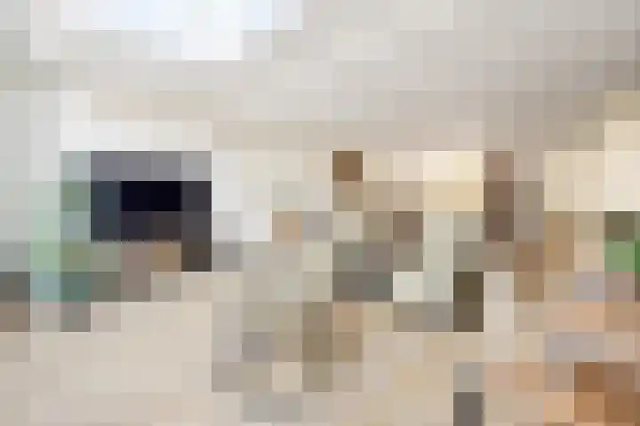 Pronkmos 21 Houten thumbnail 10