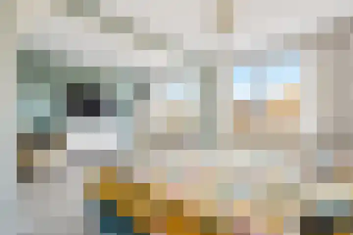 Pronkmos 21 Houten thumbnail 22