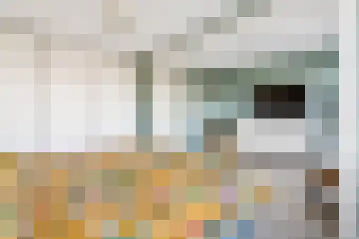Pronkmos 21 Houten thumbnail 24
