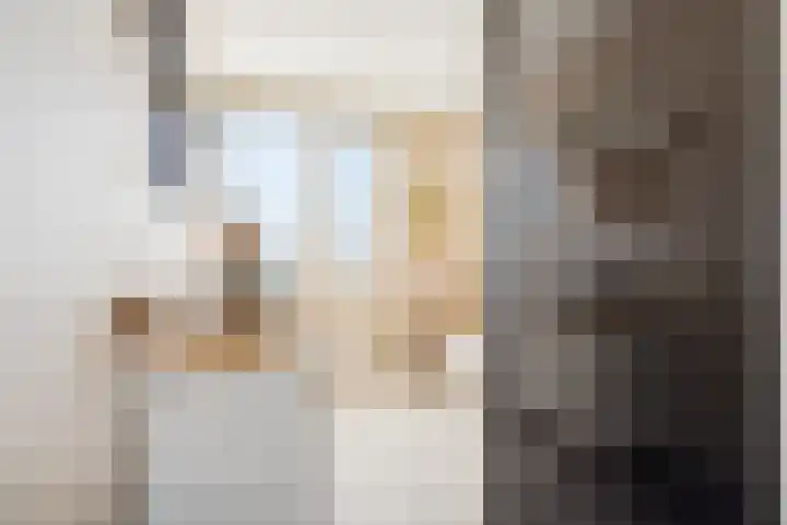 Pronkmos 21 Houten thumbnail 28