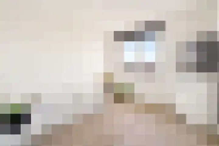 Pronkmos 21 Houten thumbnail 33