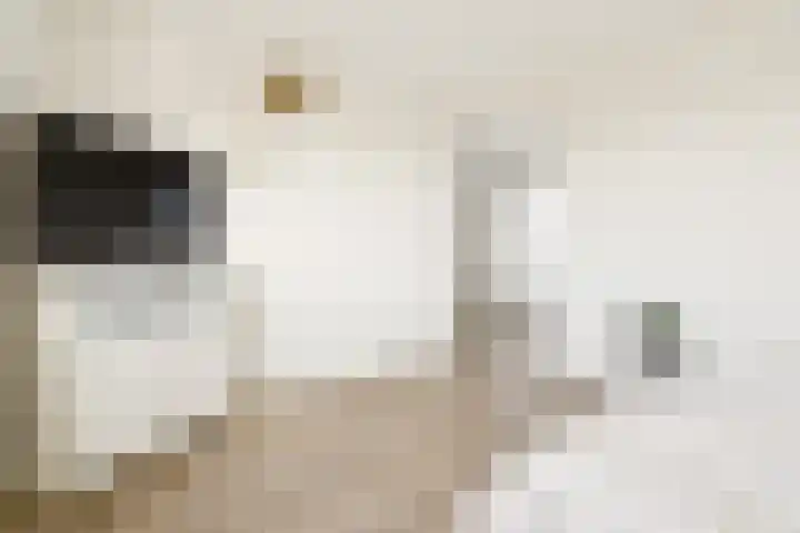 Pronkmos 21 Houten thumbnail 35