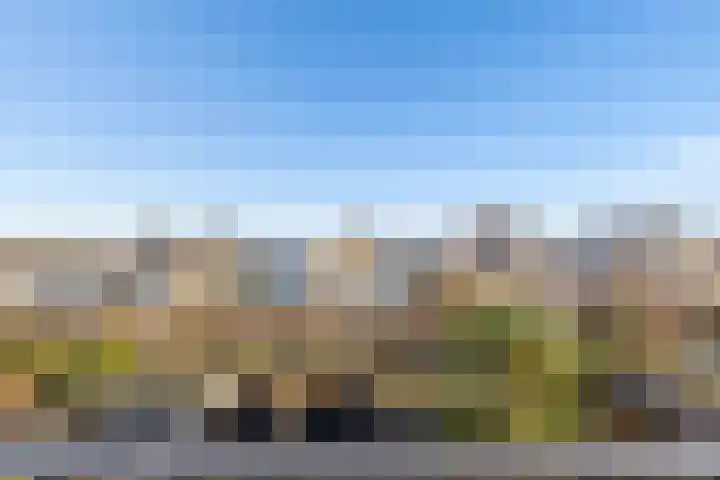 Pronkmos 21 Houten thumbnail 38