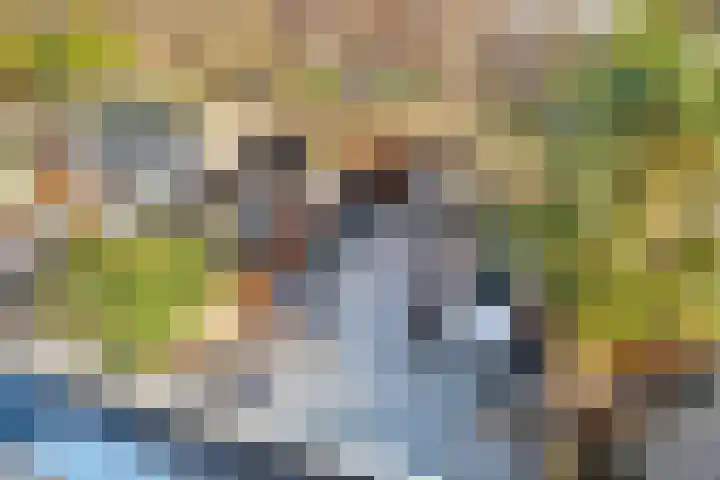 Pronkmos 21 Houten thumbnail 39