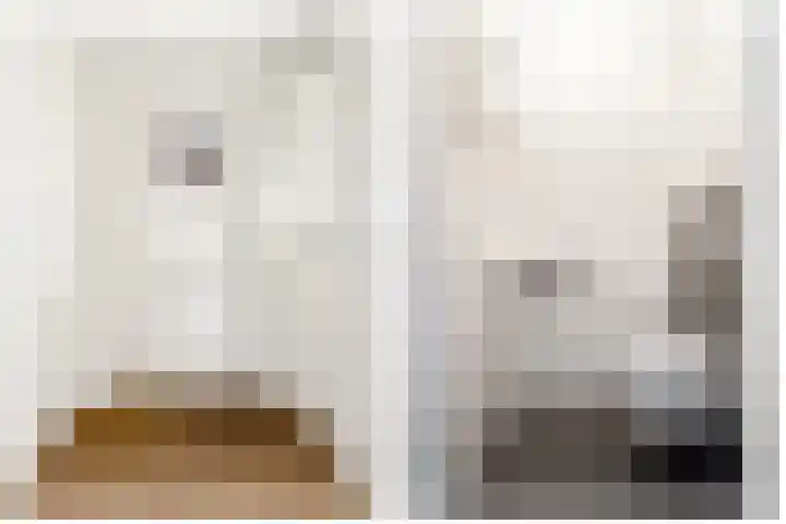 Pronkmos 21 Houten thumbnail 4