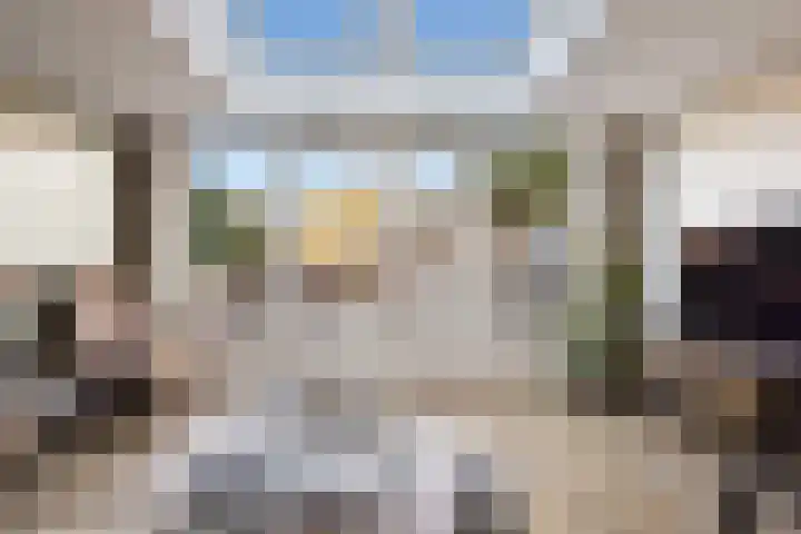 Pronkmos 21 Houten thumbnail 40